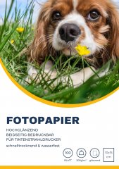 Fotopapier 100 Blatt 10x15 cm 200g/m� wei� / beidseitig bedruckbar wasserfest / gl�nzend & matt